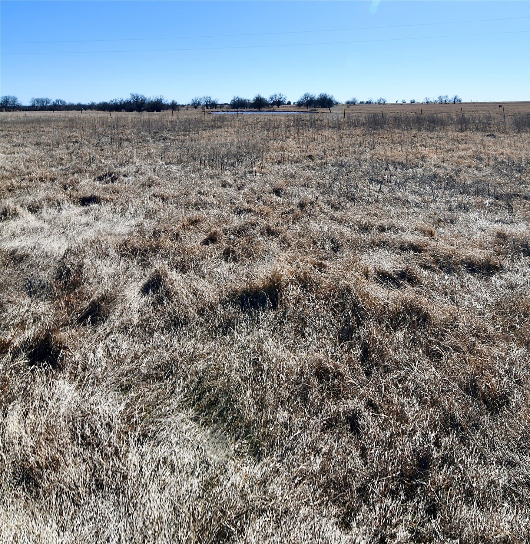 5 acres in Cooke County gallery image 4