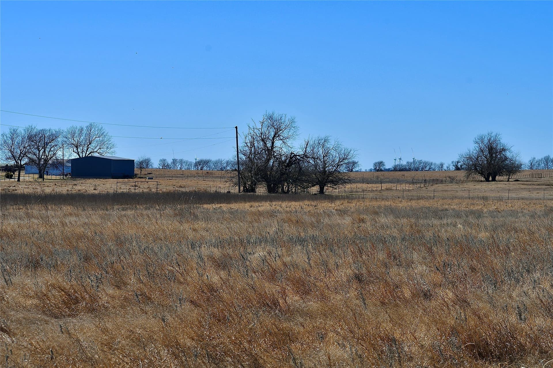 5 acres in Cooke County gallery image 3