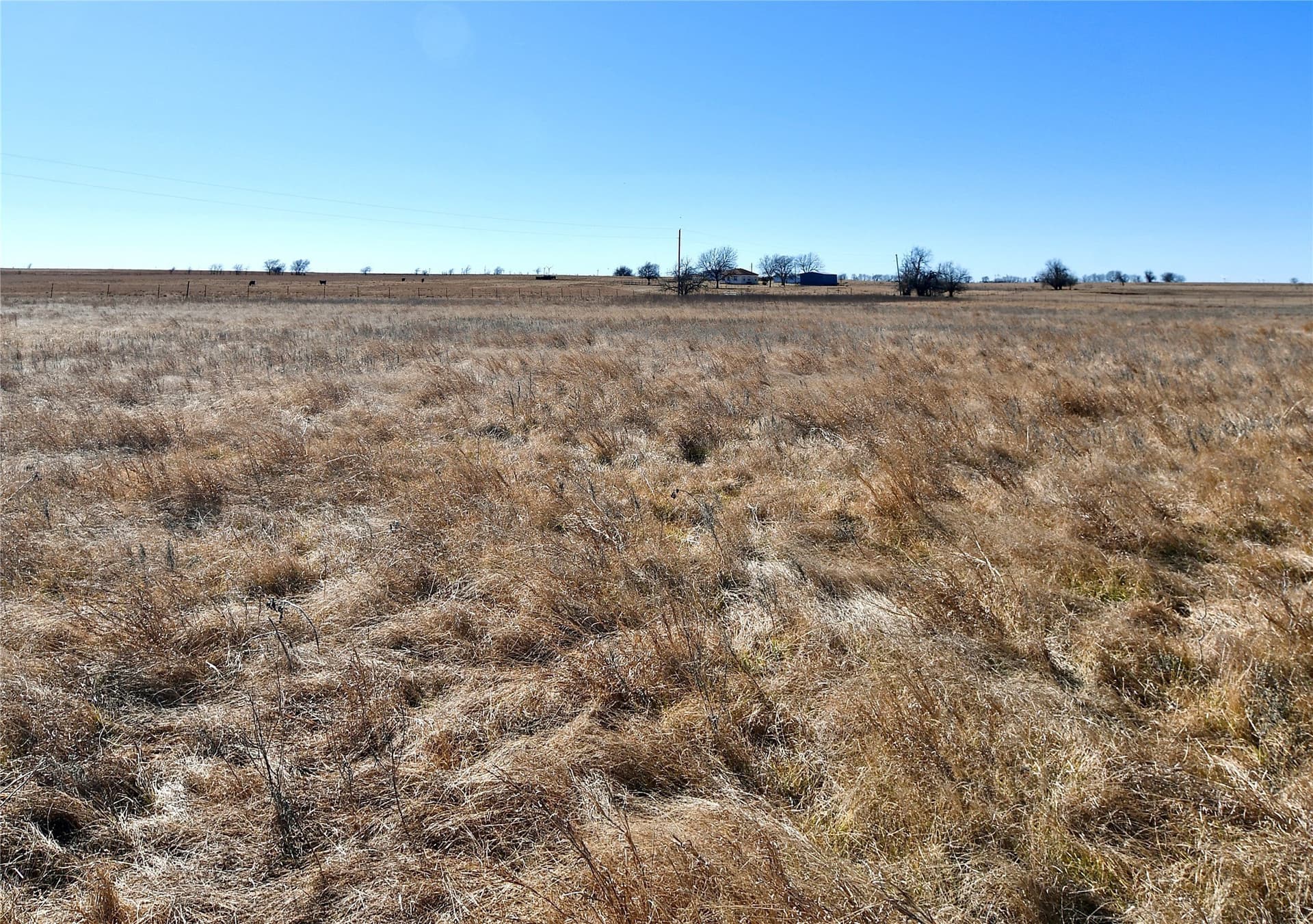 5 acres in Cooke County