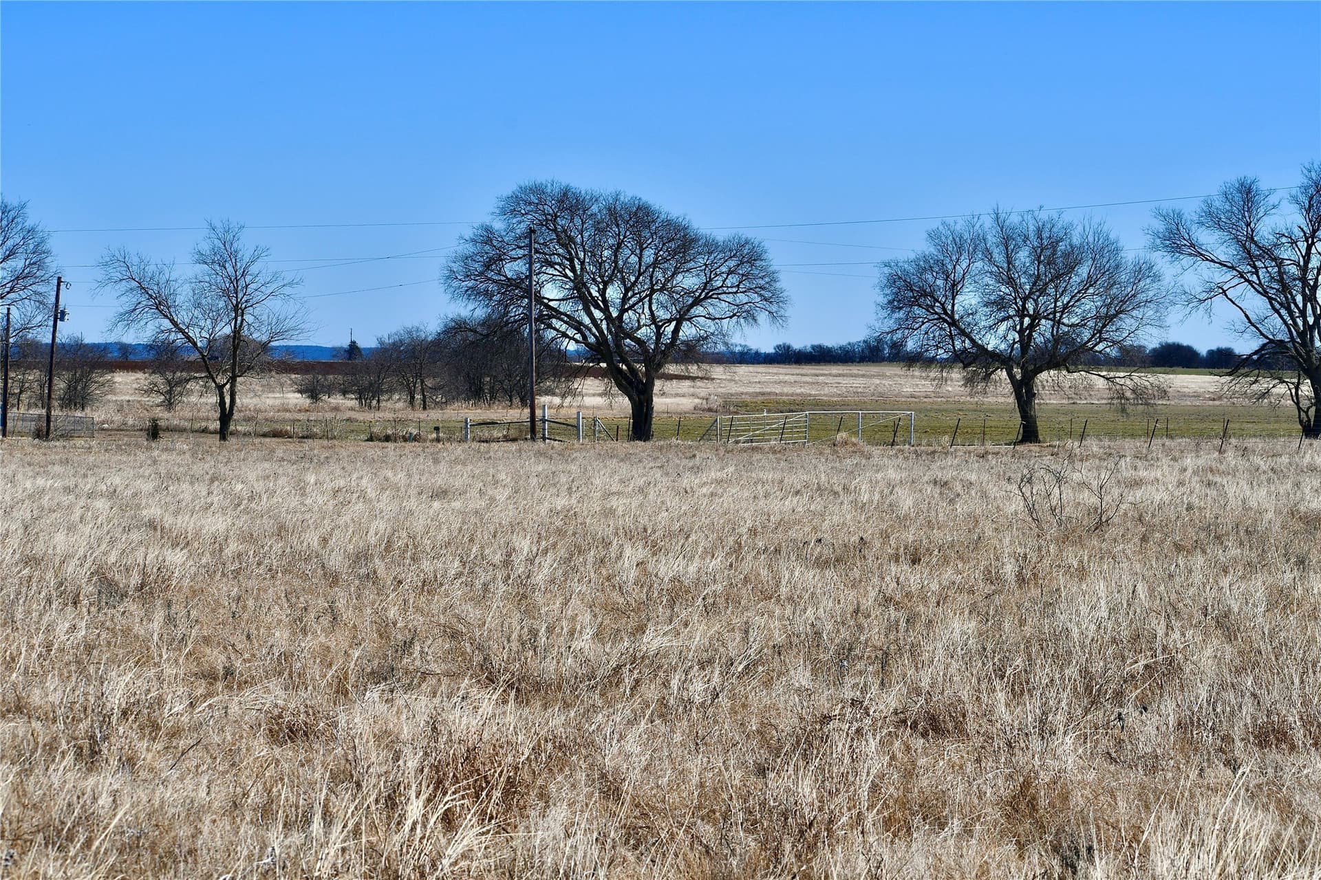5 acres in Cooke County - photo 12