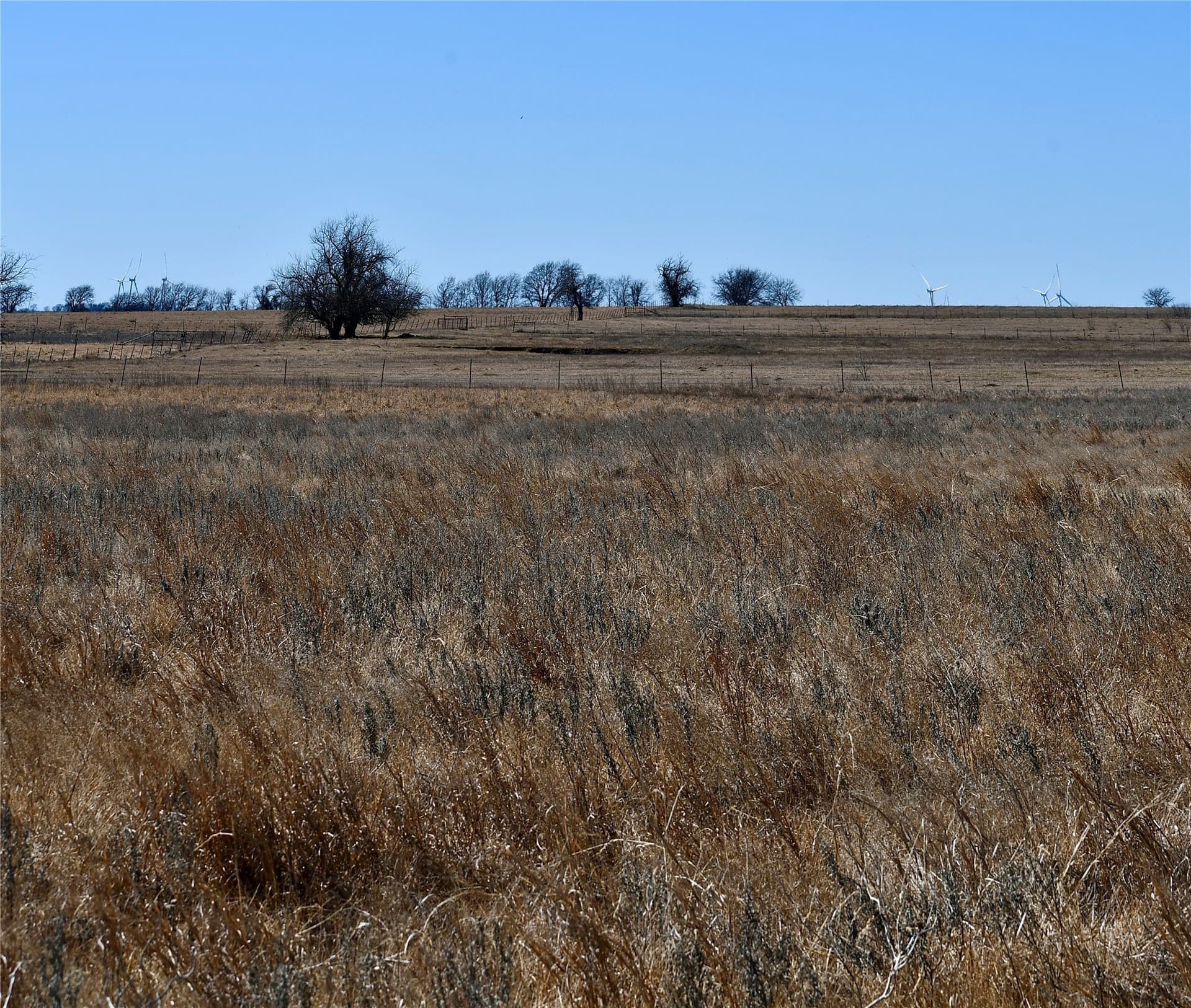 5 acres in Cooke County - photo 7