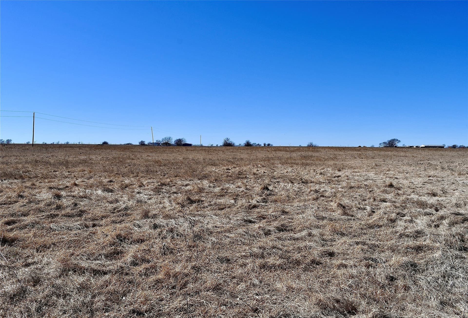 5 acres in Cooke County featured view