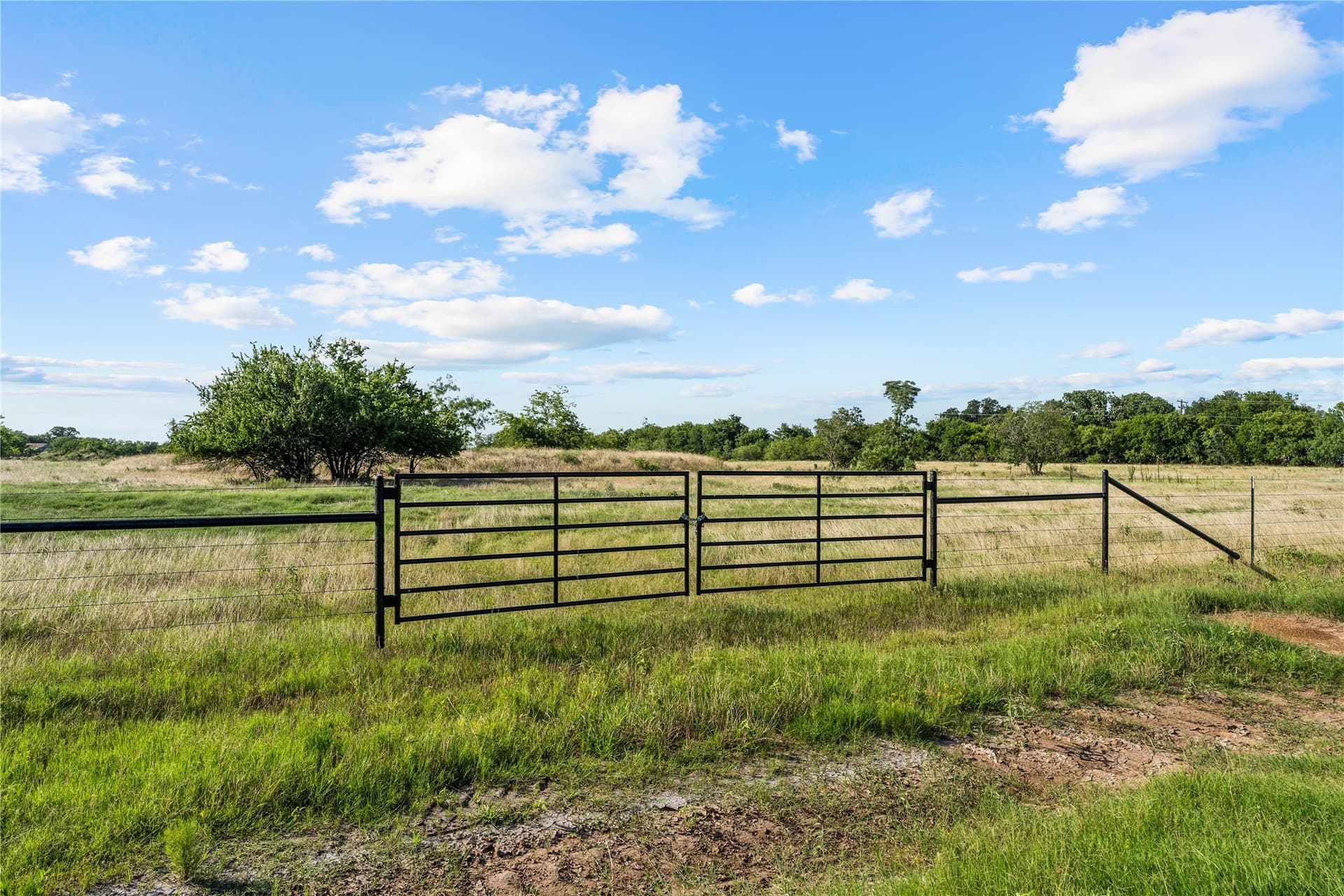13.27 acres in Hill County - photo 4