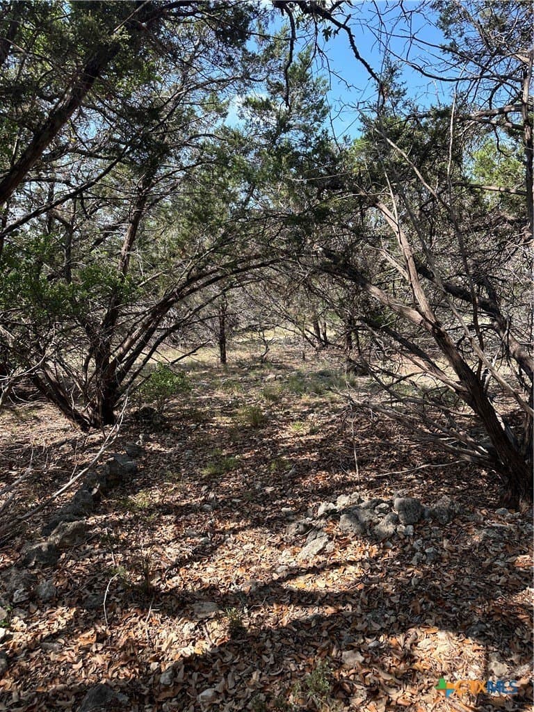 0.2 acres in Comal County - photo 6