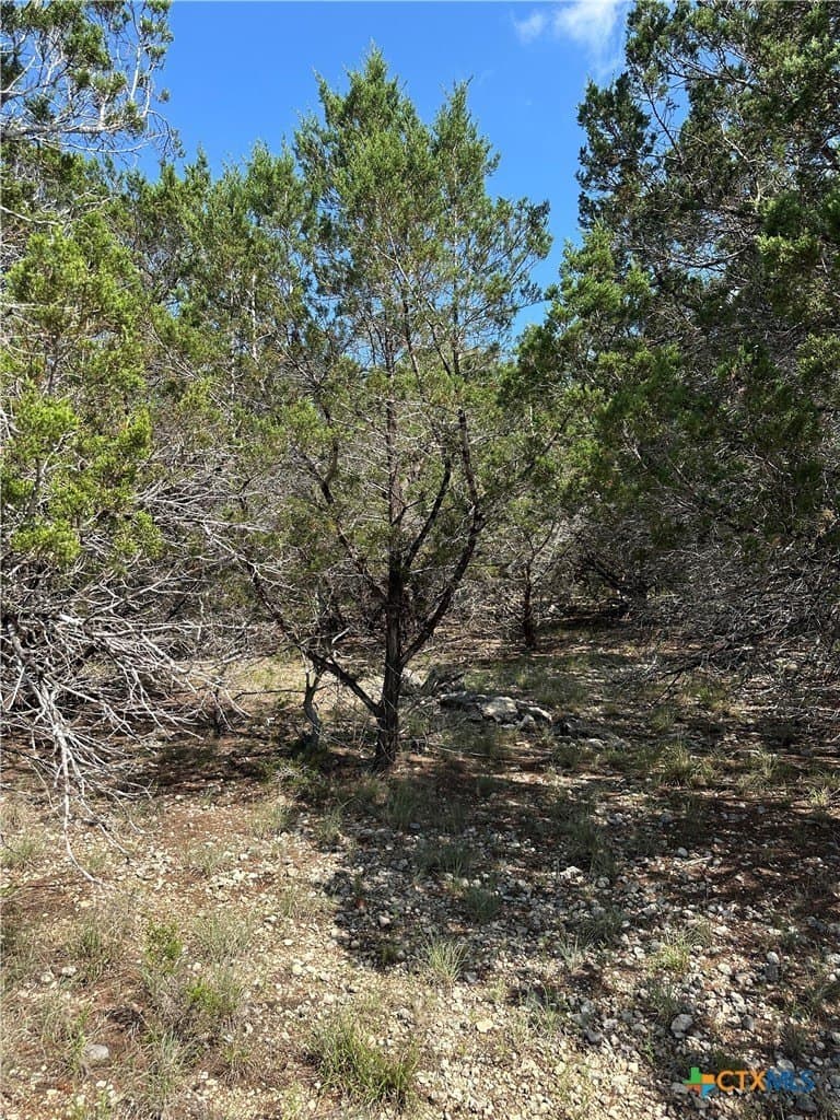 0.2 acres in Comal County gallery image 4