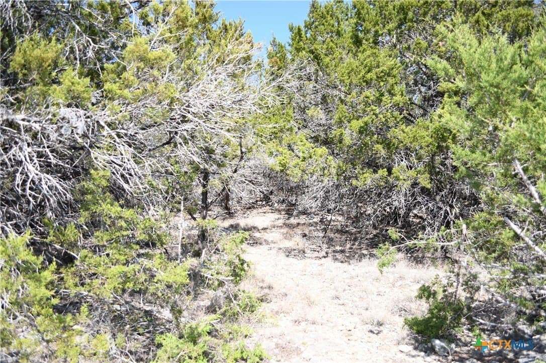 0.2 acres in Comal County - photo 11