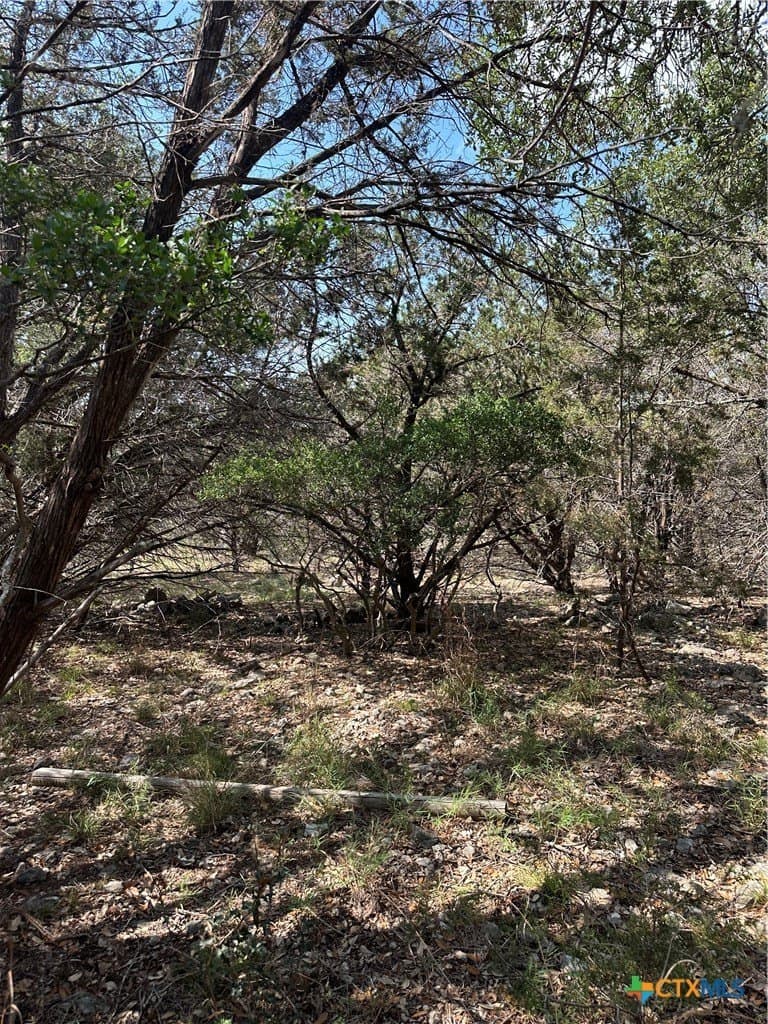 0.2 acres in Comal County featured view