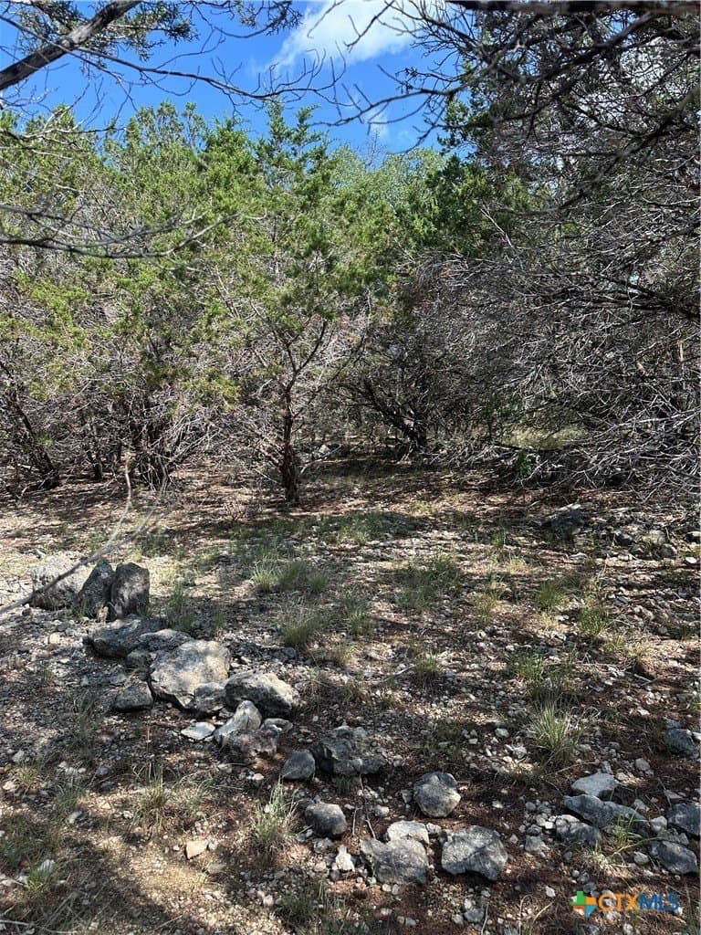 0.2 acres in Comal County - photo 7