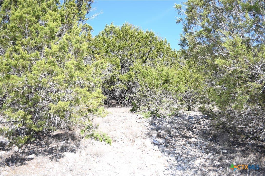 0.2 acres in Comal County - photo 12
