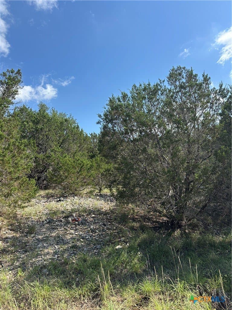0.2 acres in Comal County - photo 10