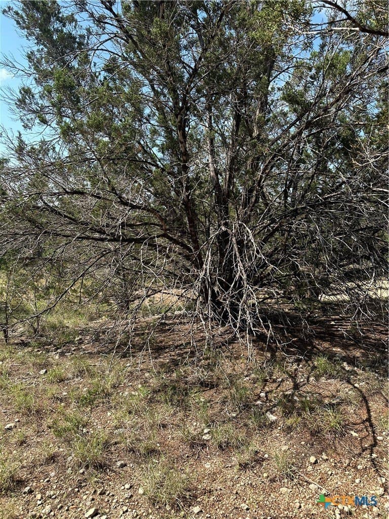 0.2 acres in Comal County - photo 8