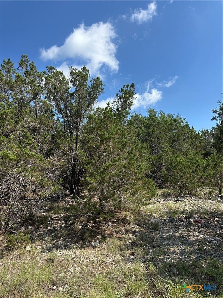 0.2 acres in Comal County - photo 9