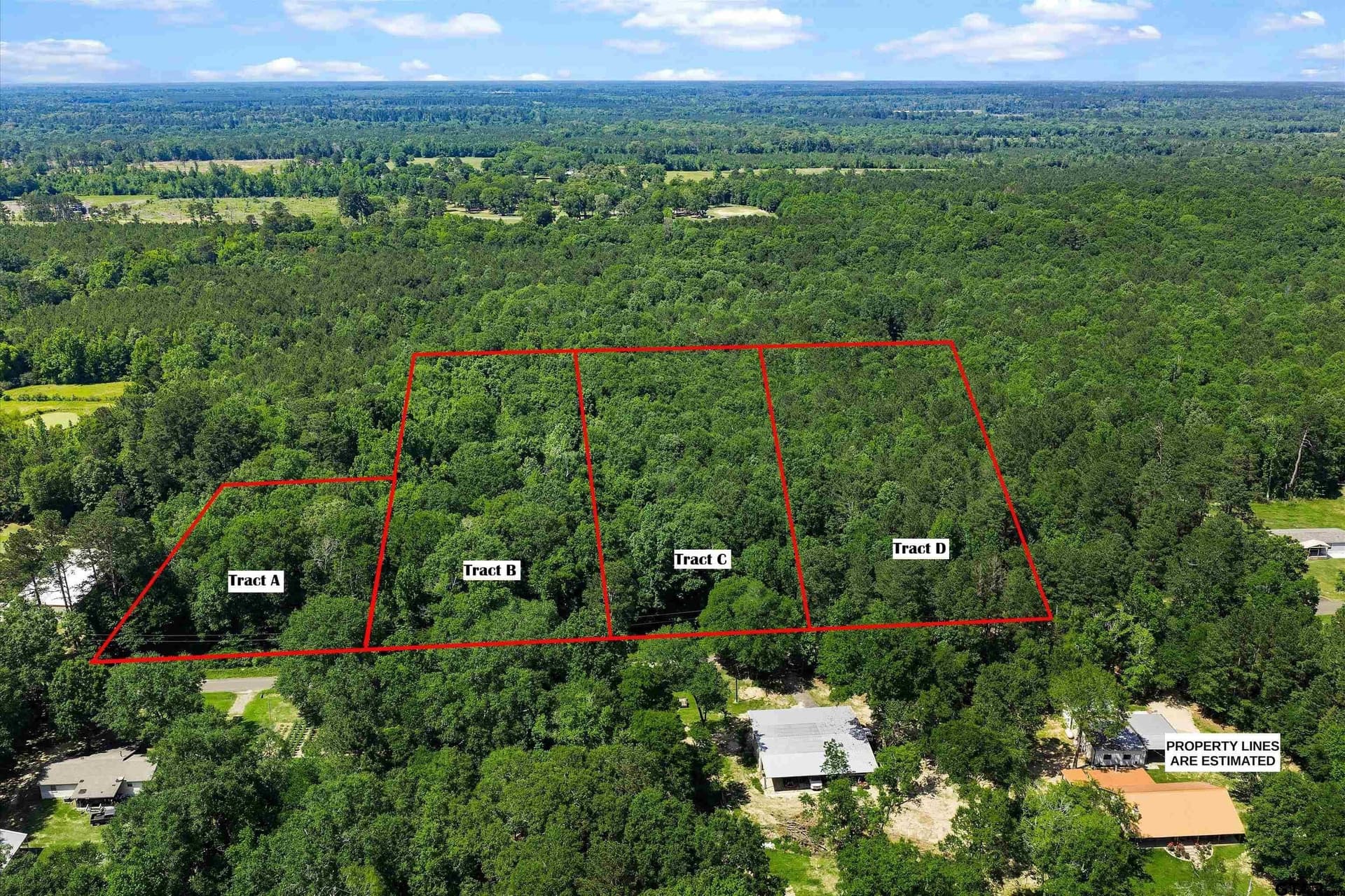 2 acres in Panola County - photo 7