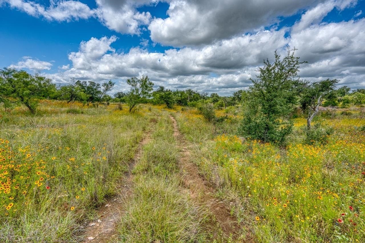 10 acres in Llano County gallery image 3