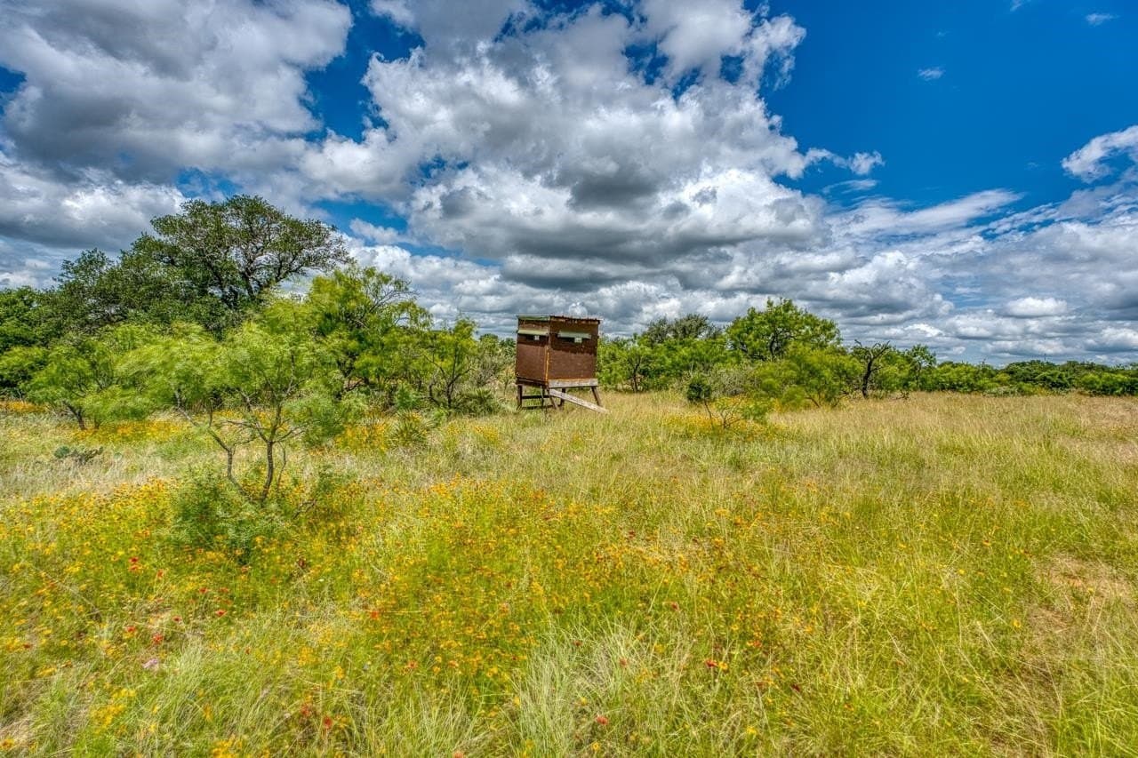 10 acres in Llano County - photo 15