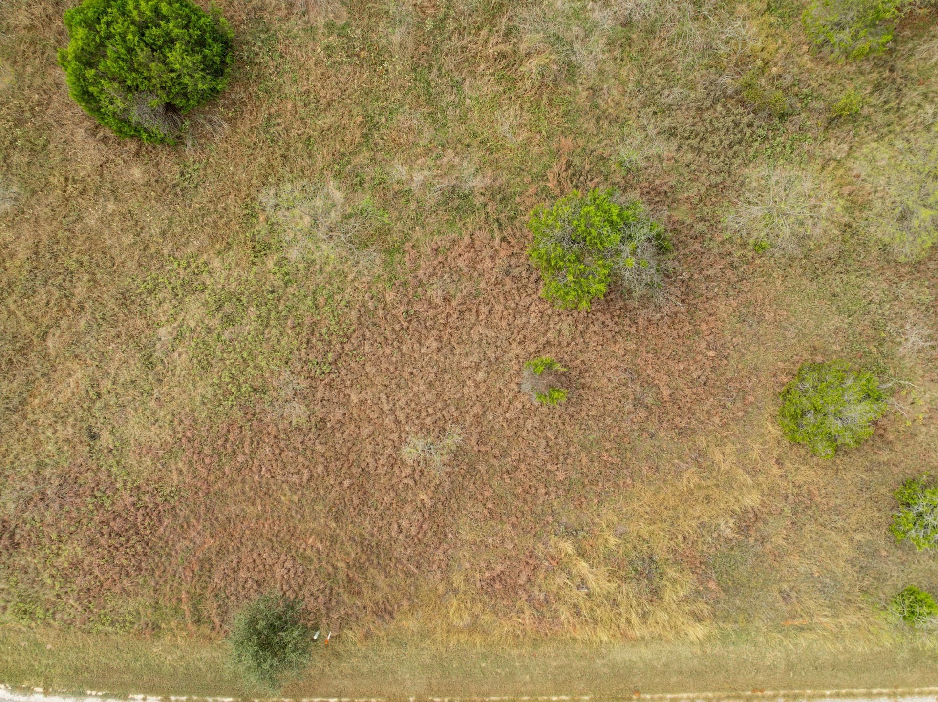 0.13 acres in Hill County - photo 4