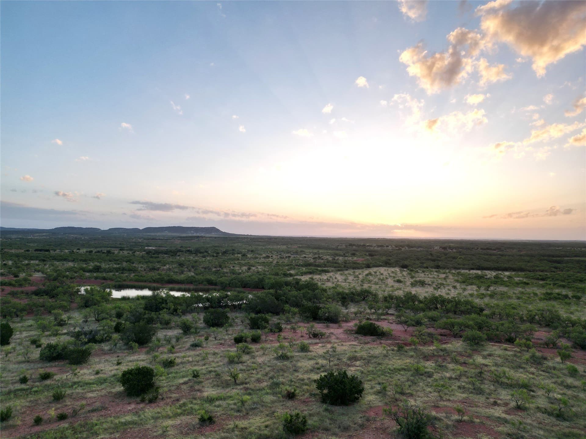 208 acres in Taylor County - photo 10