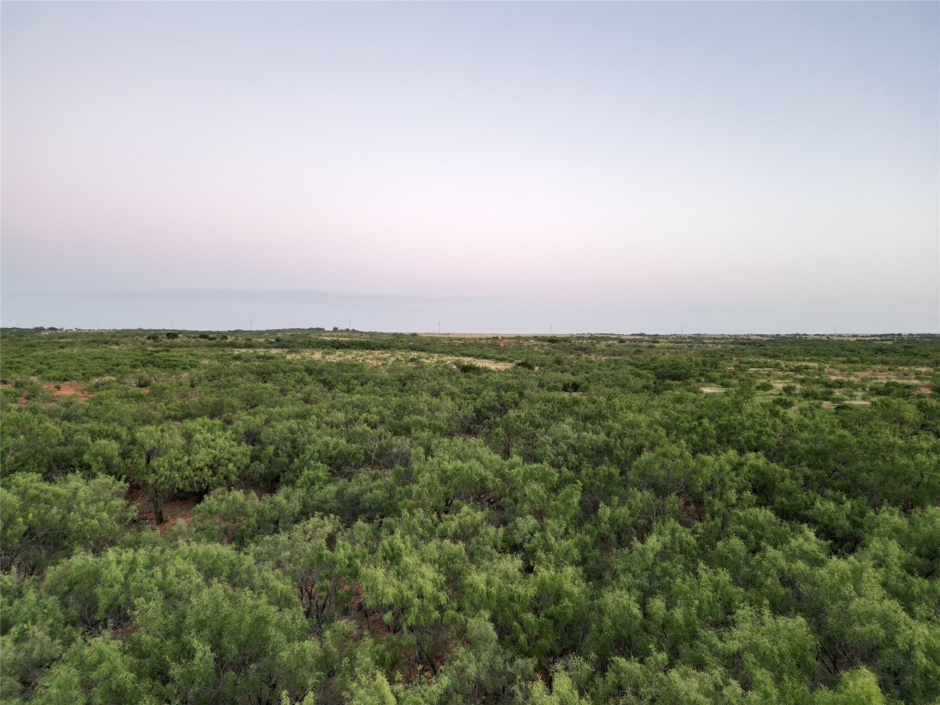 208 acres in Taylor County - photo 7