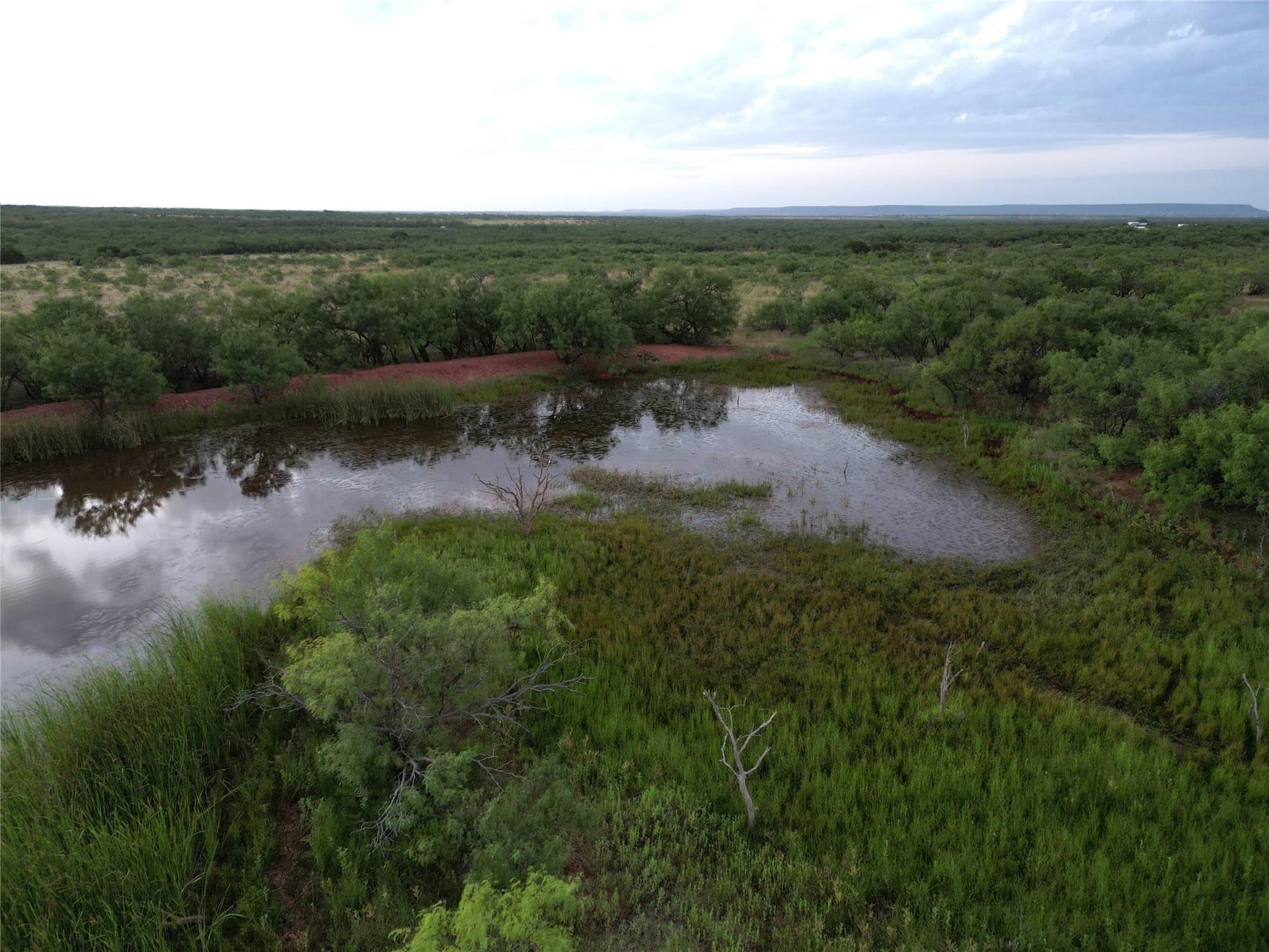 208 acres in Taylor County - photo 14