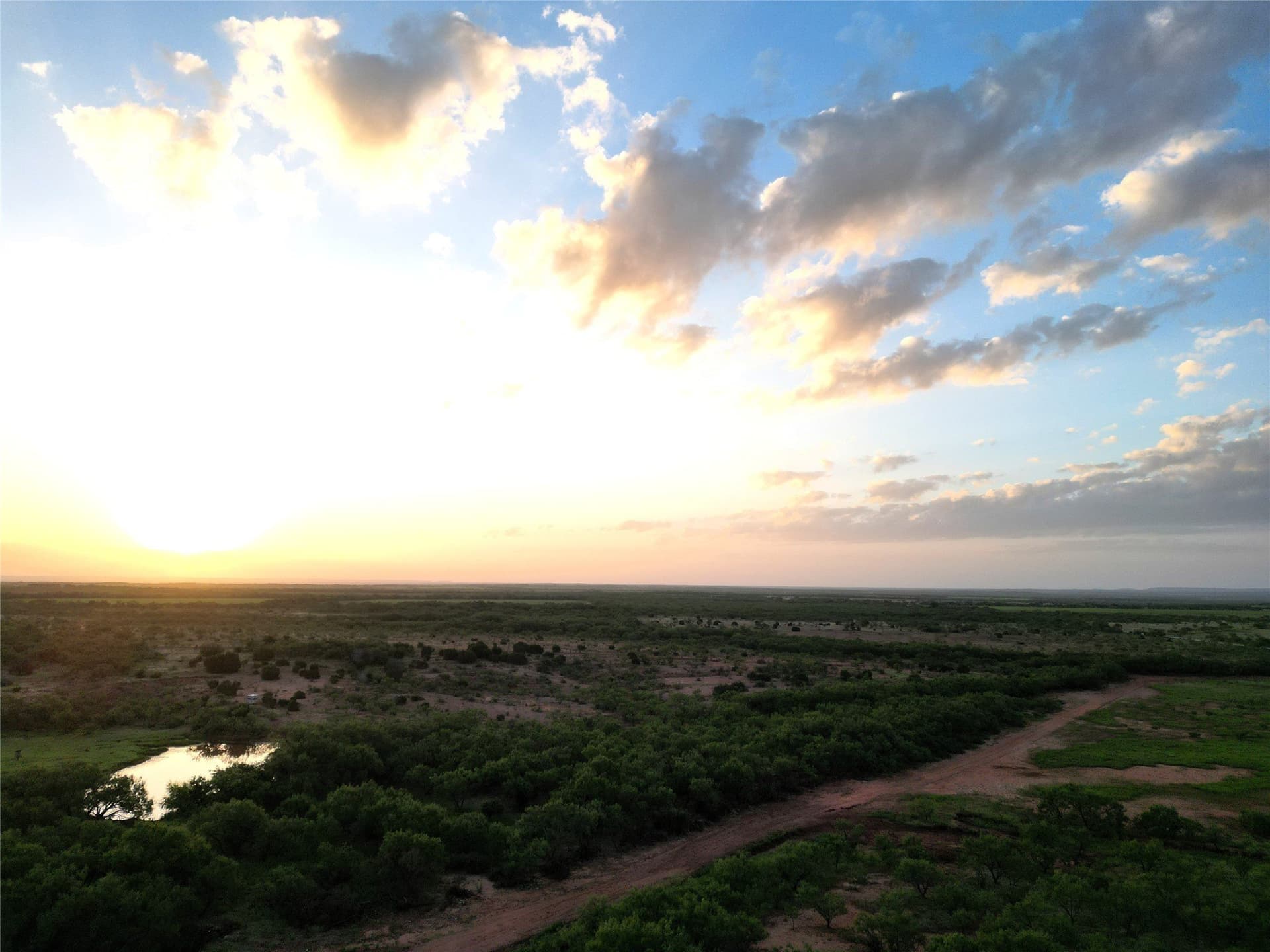 208 acres in Taylor County - photo 17