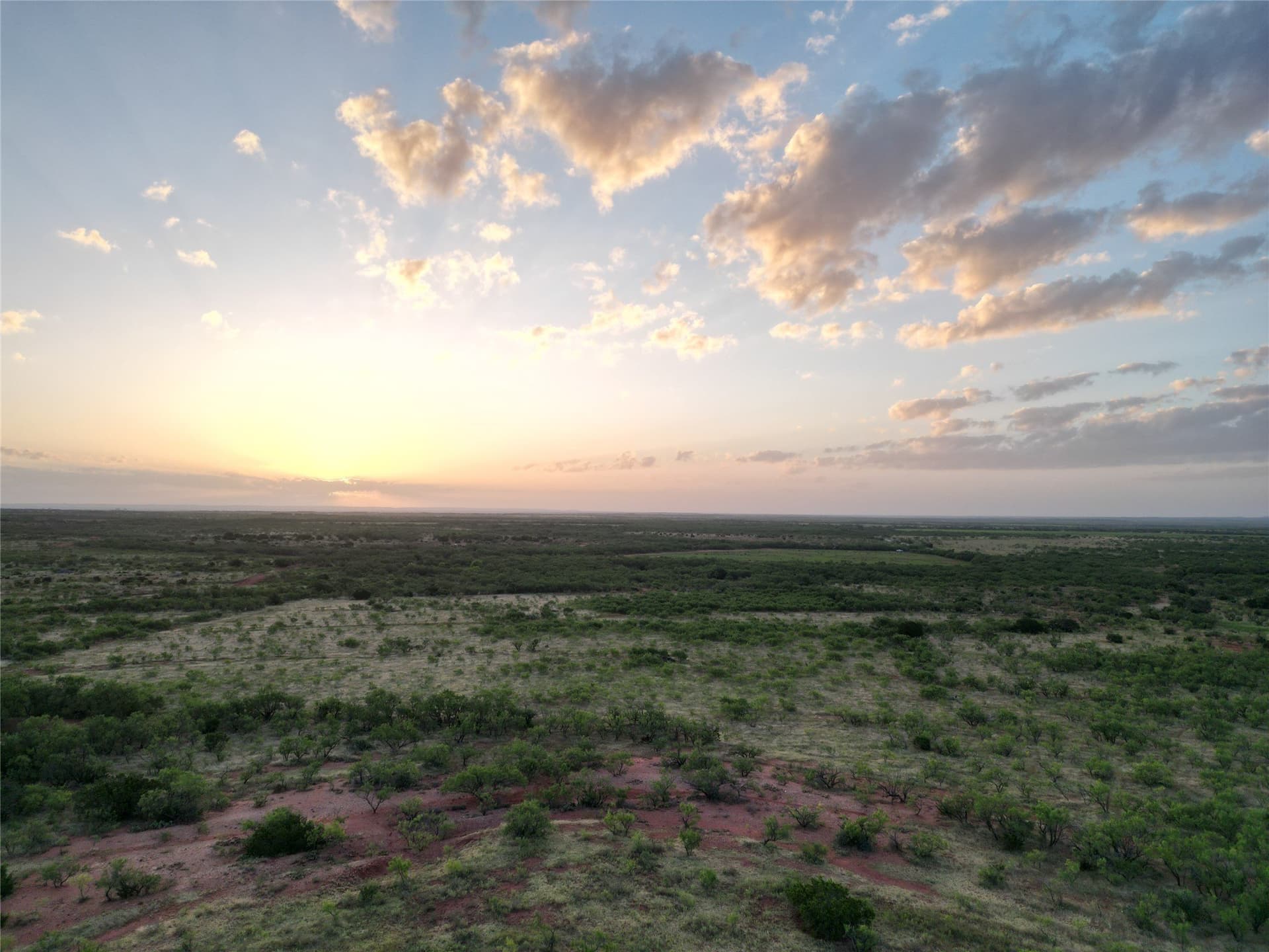 208 acres in Taylor County - photo 15
