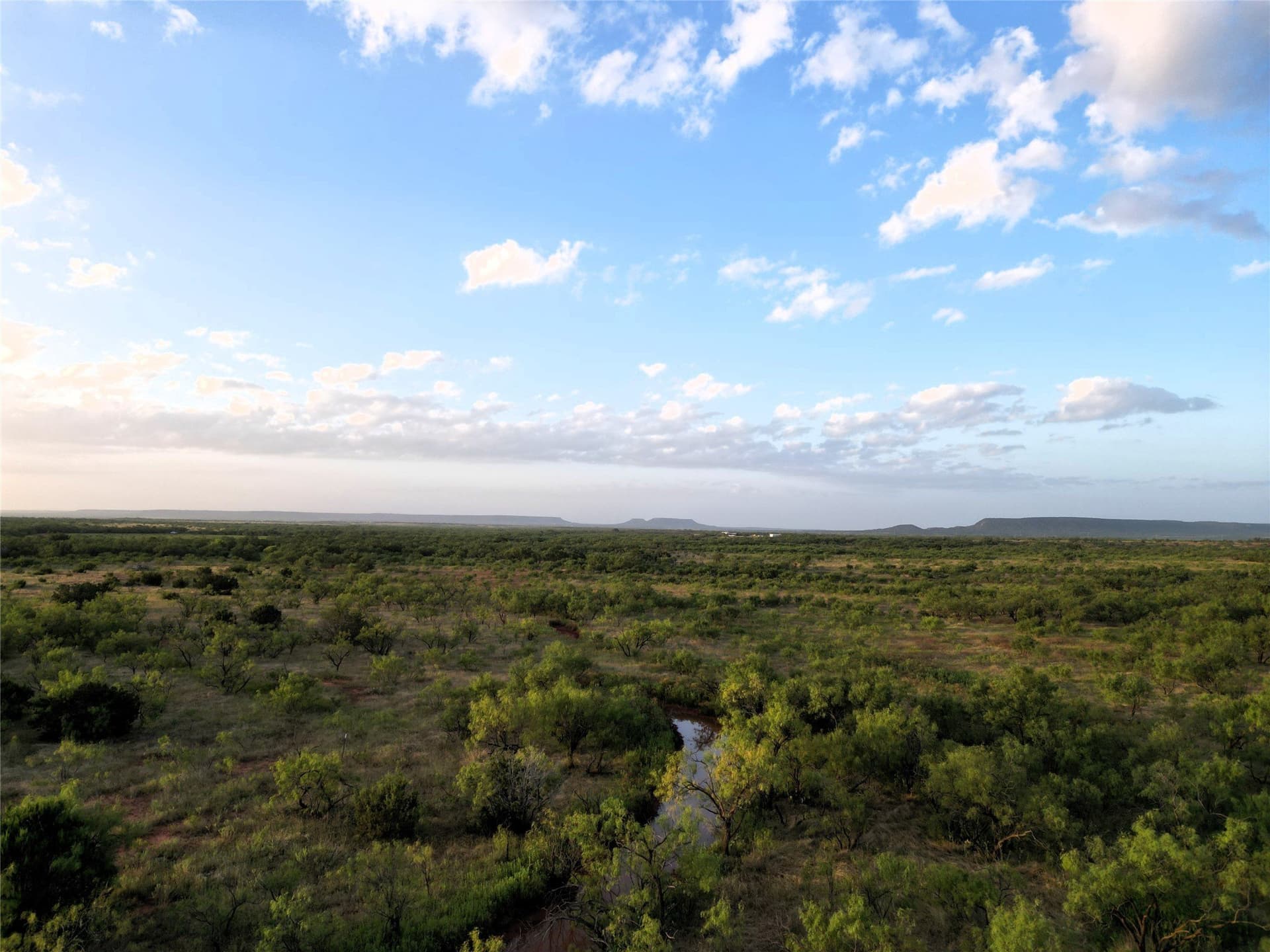208 acres in Taylor County - photo 20