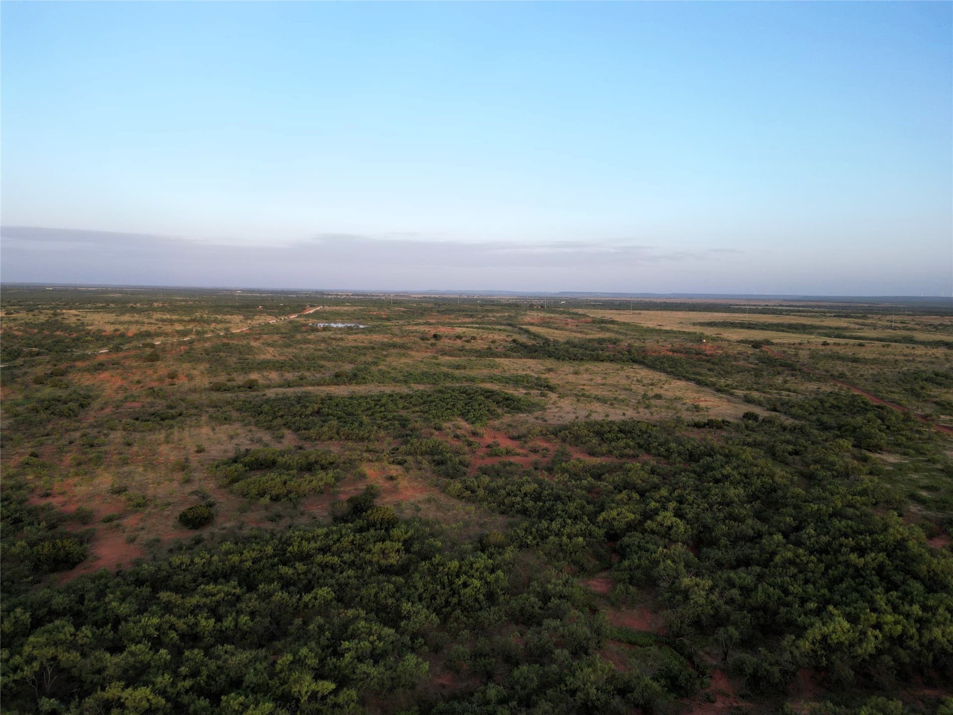 208 acres in Taylor County - photo 19
