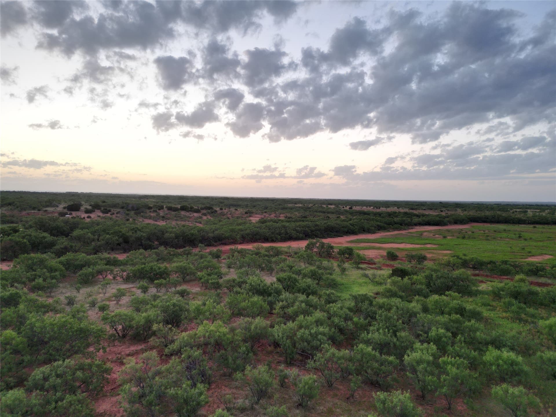 208 acres in Taylor County - photo 9