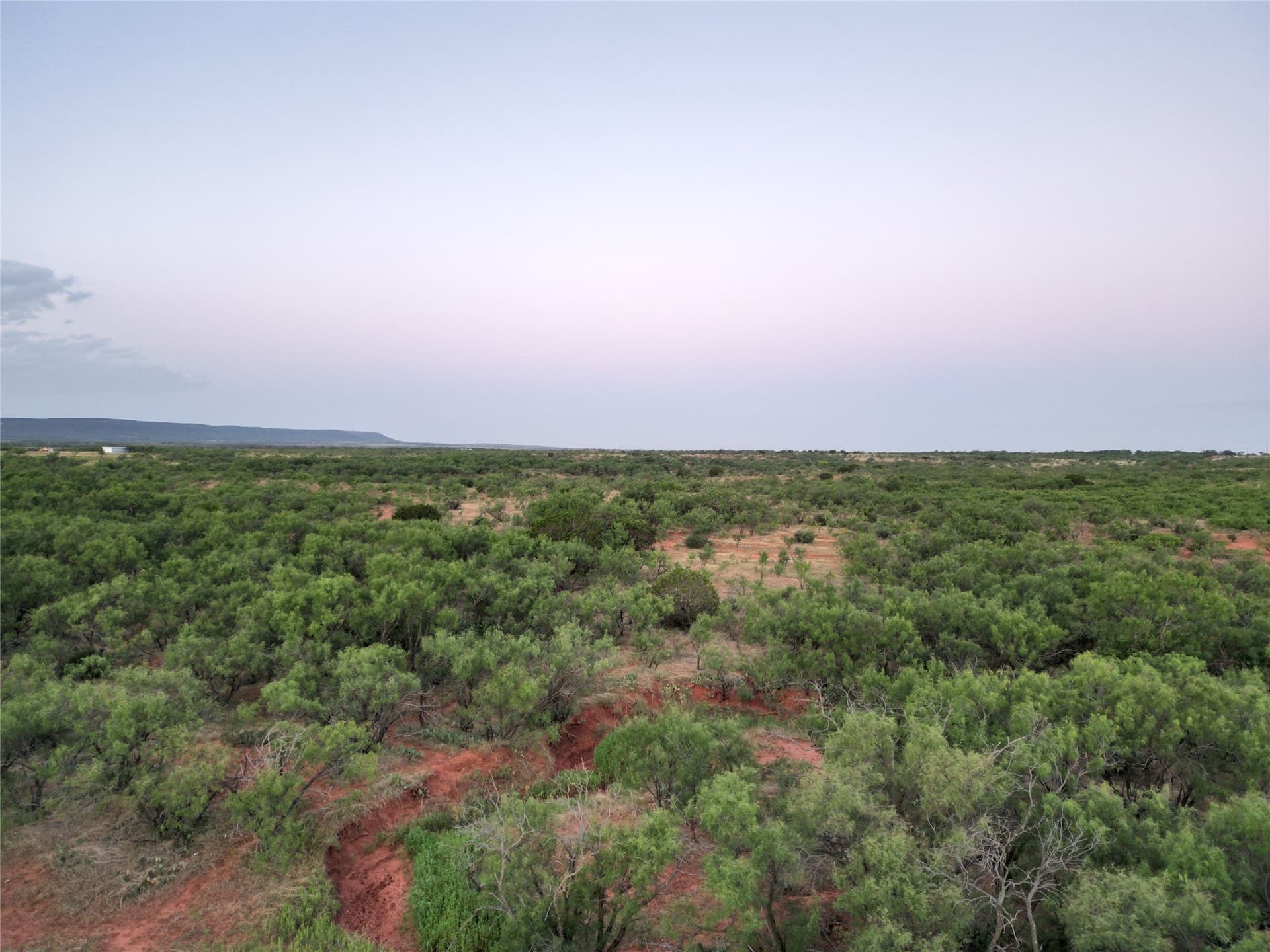 208 acres in Taylor County - photo 8