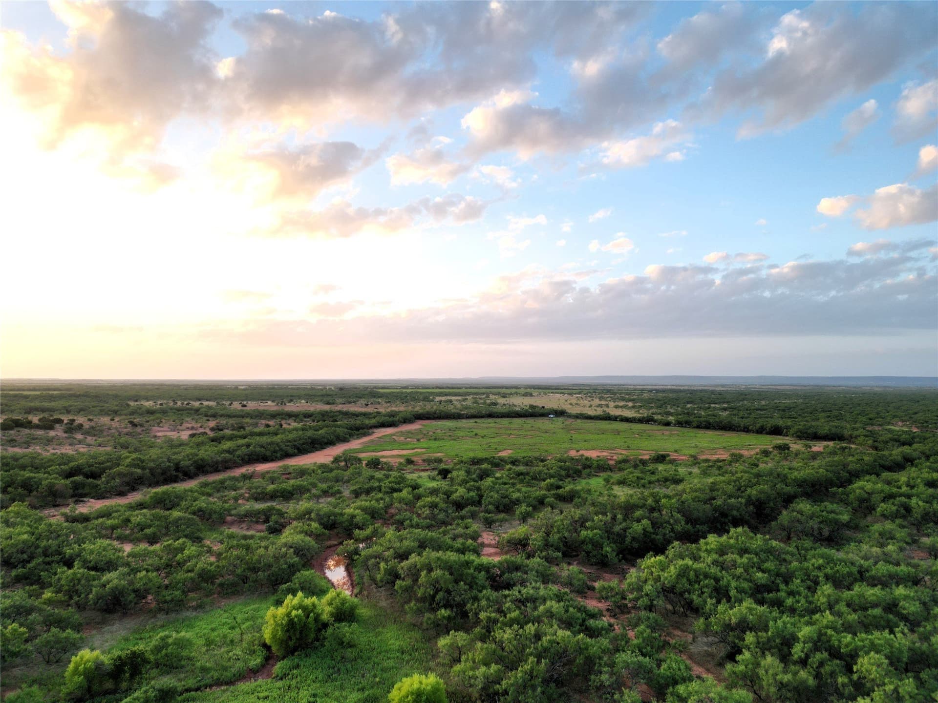 202 acres in Taylor County featured view