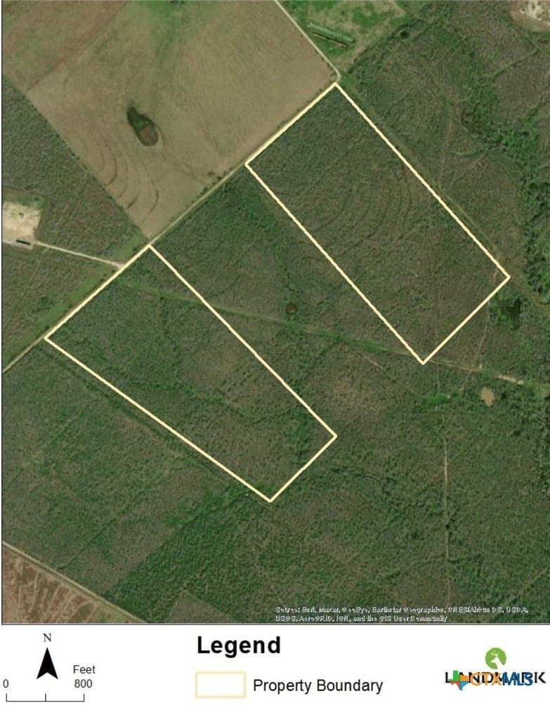 50.01 acres in Gonzales County gallery image 3