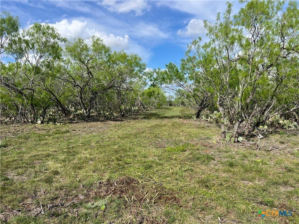 50.01 acres in Gonzales County