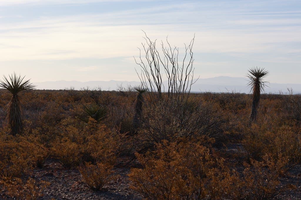 40 acres in Presidio County - photo 25