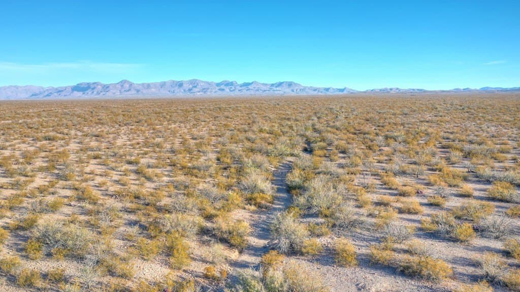 40 acres in Presidio County - photo 16