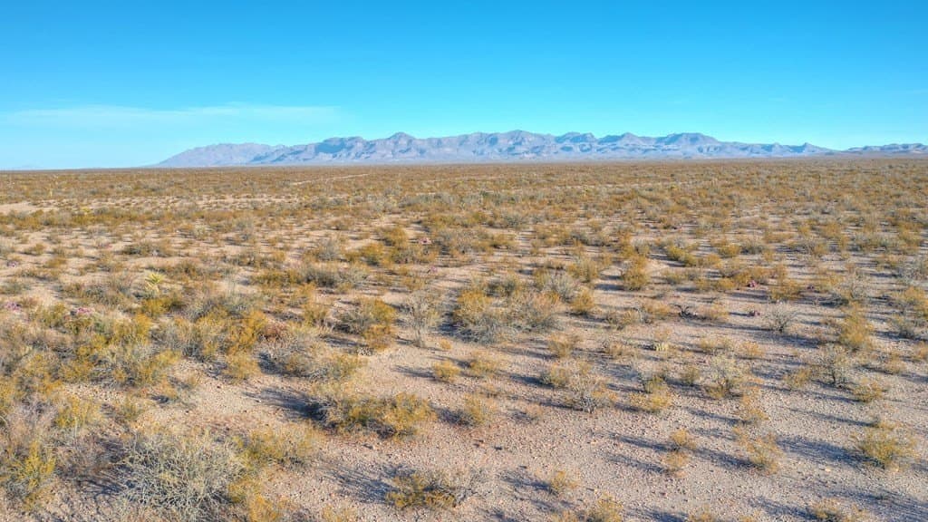 40 acres in Presidio County - photo 6