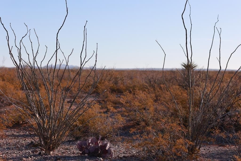 40 acres in Presidio County