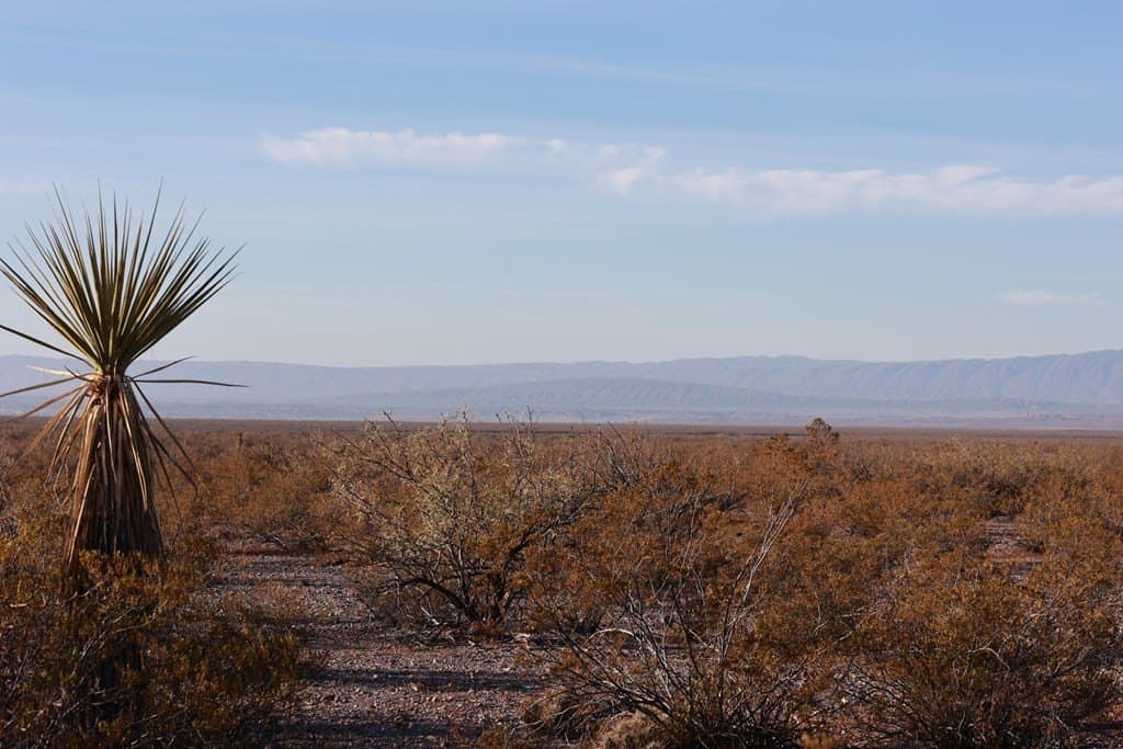 40 acres in Presidio County - photo 23