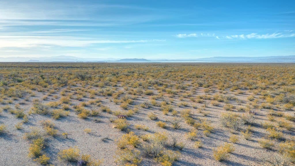 40 acres in Presidio County - photo 18