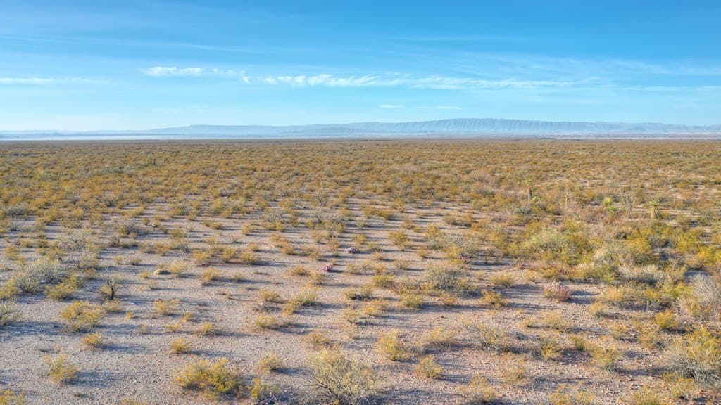 40 acres in Presidio County - photo 4