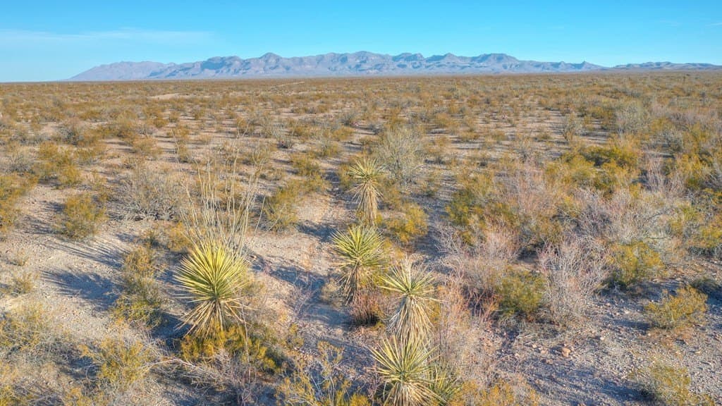 40 acres in Presidio County - photo 7