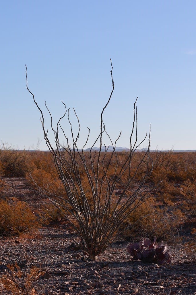 40 acres in Presidio County - photo 26