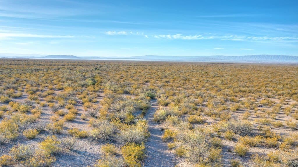 40 acres in Presidio County - photo 17
