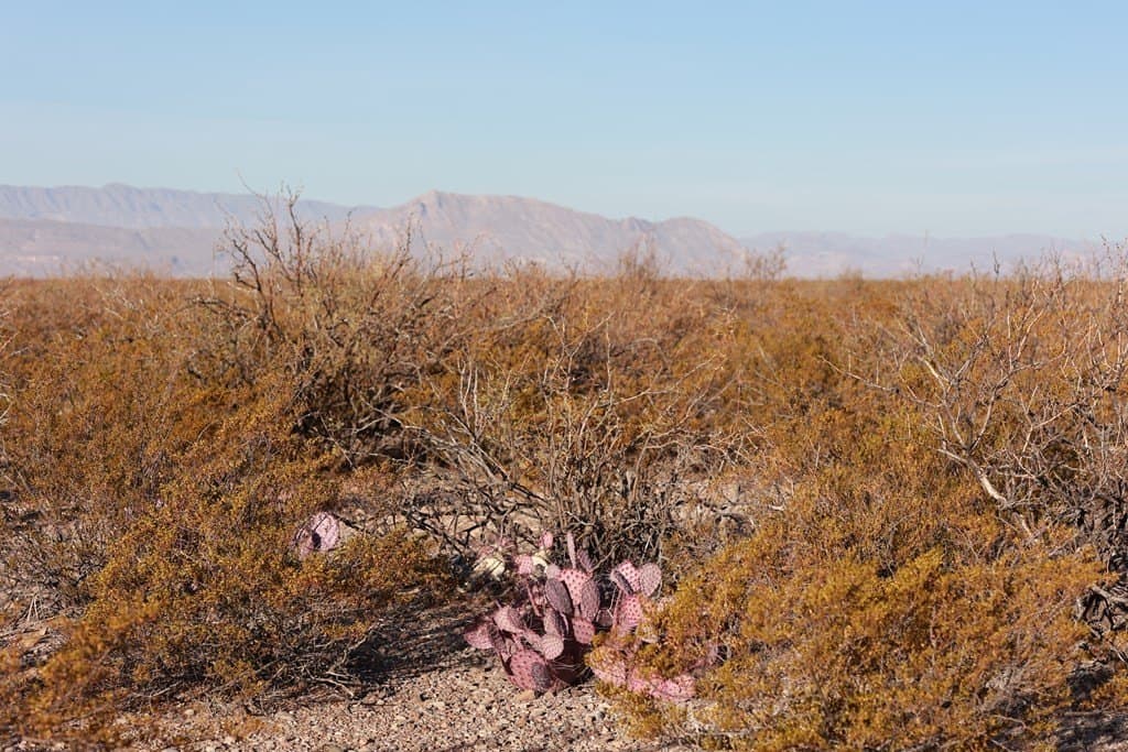 40 acres in Presidio County - photo 21