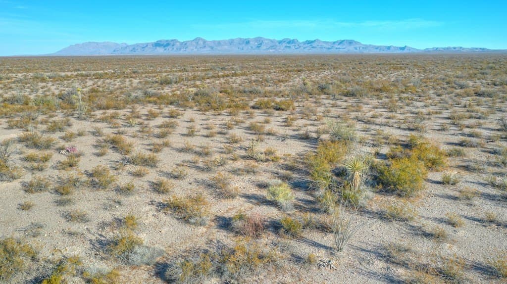 40 acres in Presidio County - photo 9