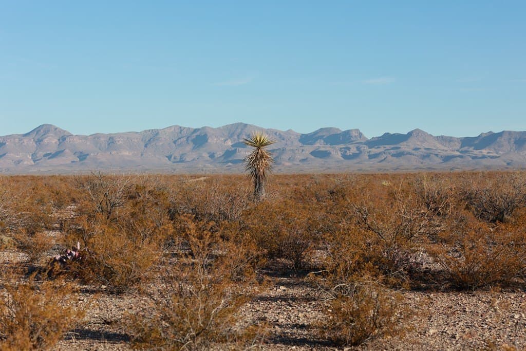 40 acres in Presidio County - photo 22