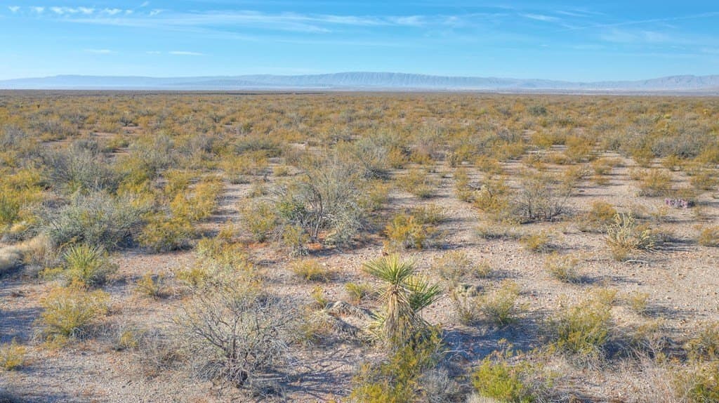 40 acres in Presidio County - photo 10
