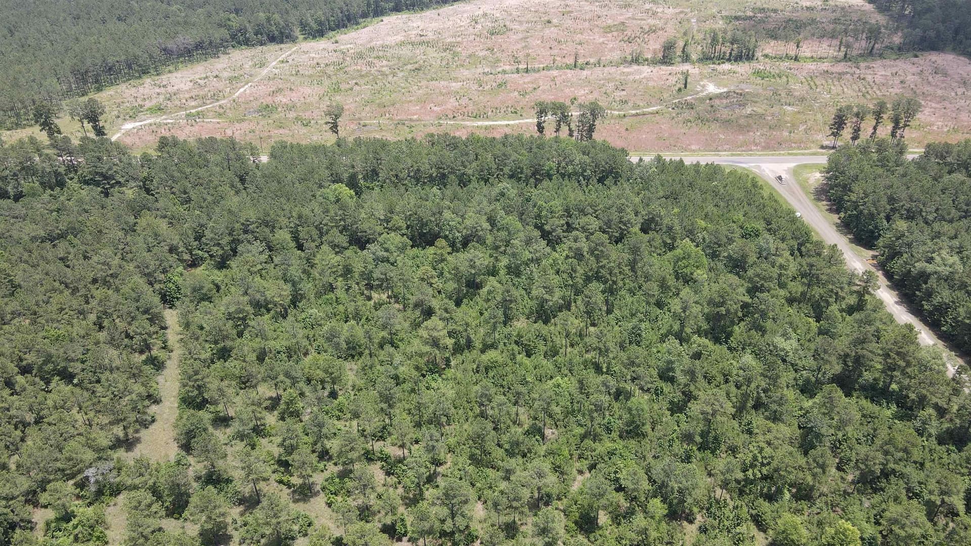 3.83 acres in Texas County featured view