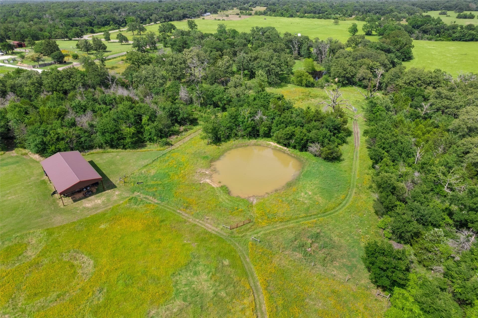 47.07 acres in Limestone County gallery image 2