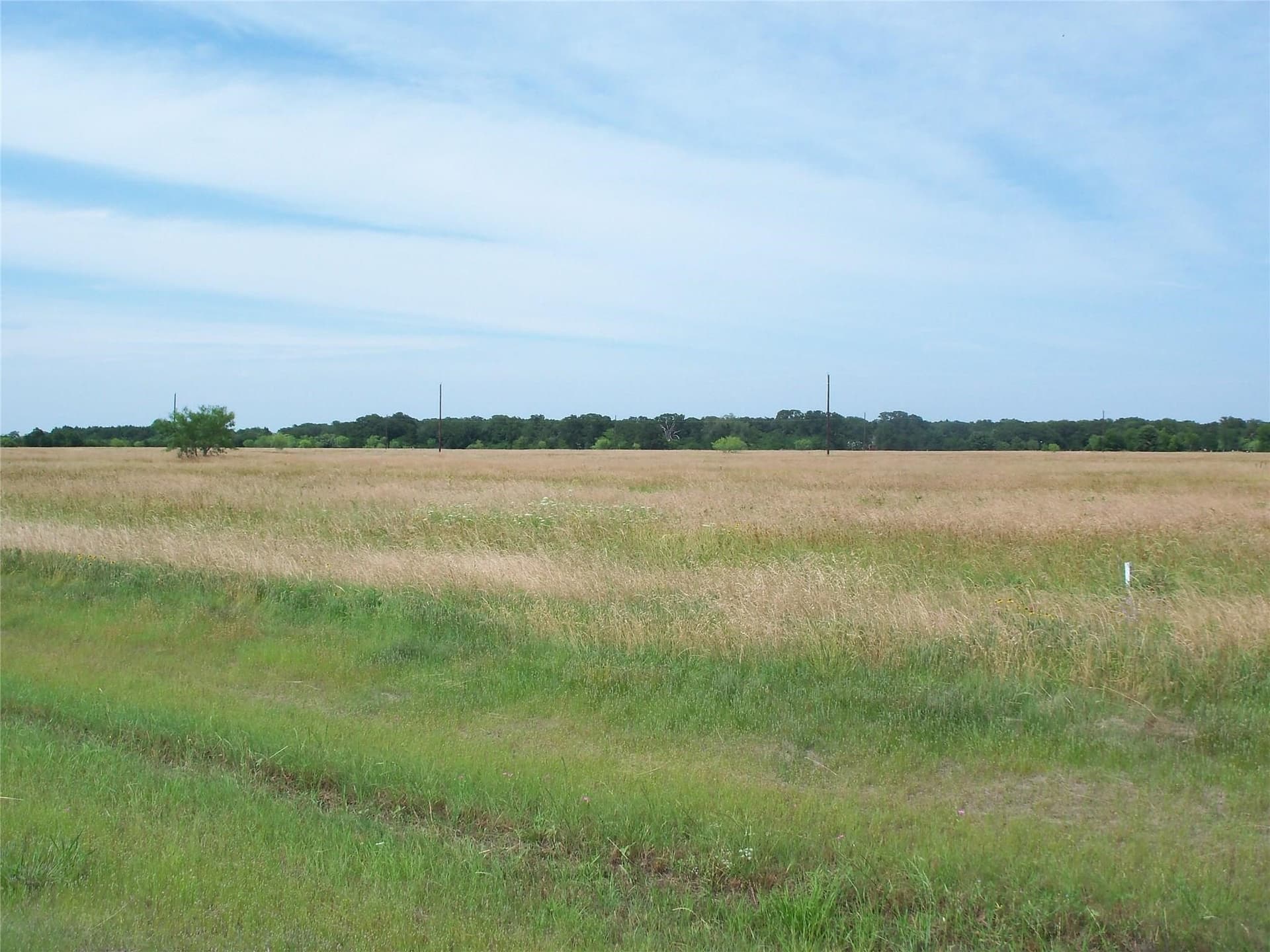 2.01 acres in Navarro County gallery image 4