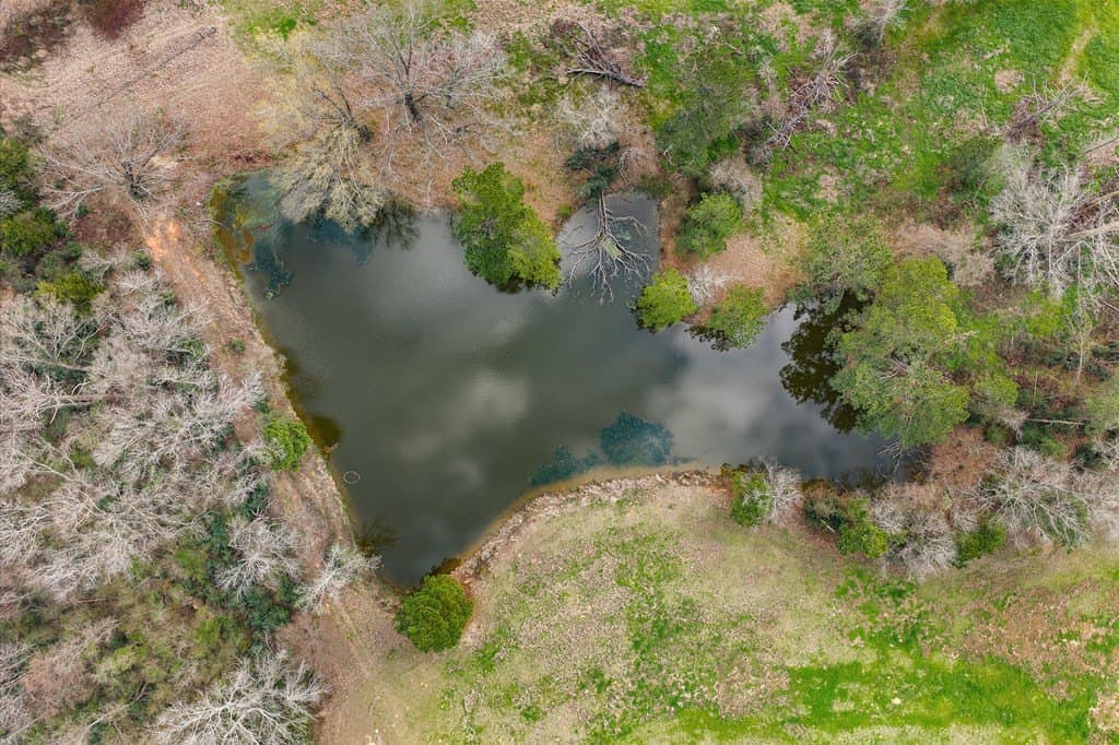 48.17 acres in Texas County - photo 9
